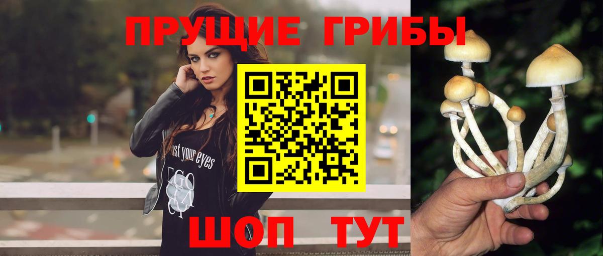 Галлюциногенные грибы мухоморы  Галлюциногенные грибы Psilocybe  Вход с VPN  Алапаевск 